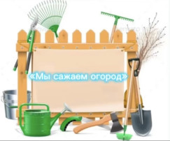 «Овощная» тема 🥒🥬🥕🍆🧄🍅🥦🌽🧅🫑🌶️🫛🫘 «Овощная» тема 🥒🥬🥕🍆🧄🍅🥦🌽🧅🫑🌶️🫛🫘.