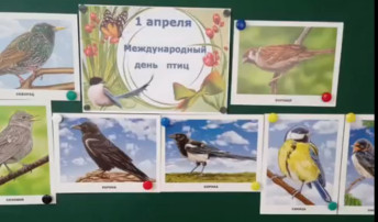 Международный день птиц Международный день птиц.